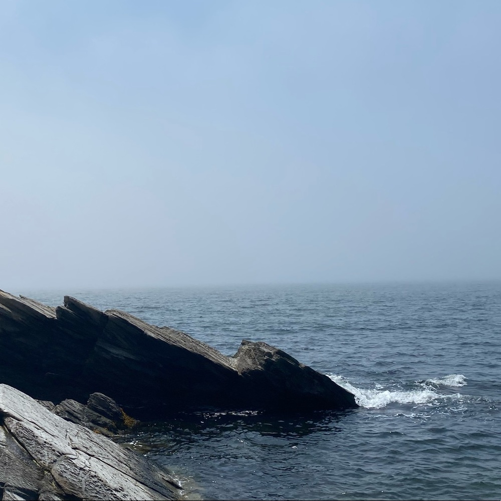 Meet your Posher, Alexa